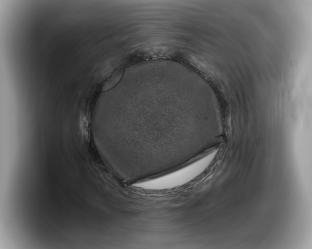 X0000099571010200805301536