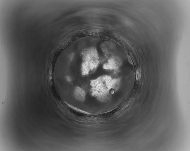 X0000099571011200805301536