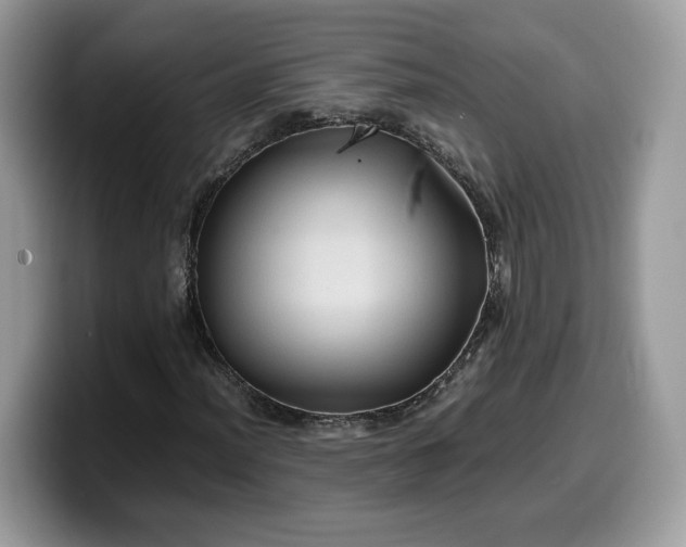 X0000099571012200805301536