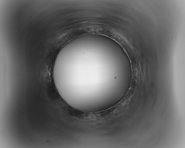 X0000099571013200805301536