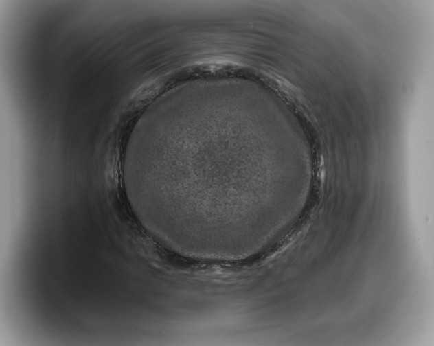 X0000099571014200805301536