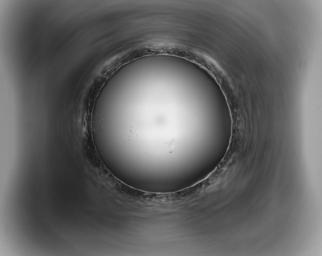 X0000099571016200805301536
