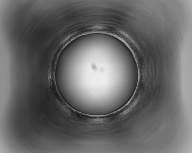 X0000099571017200805301536