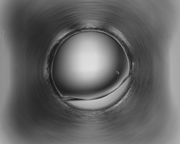 X0000099571018200805301536