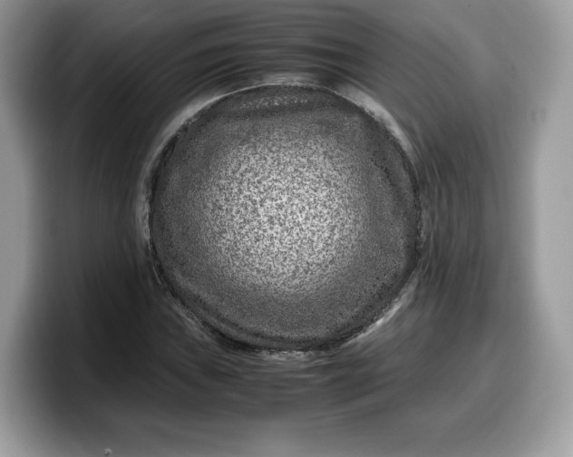X0000099571019200805301536