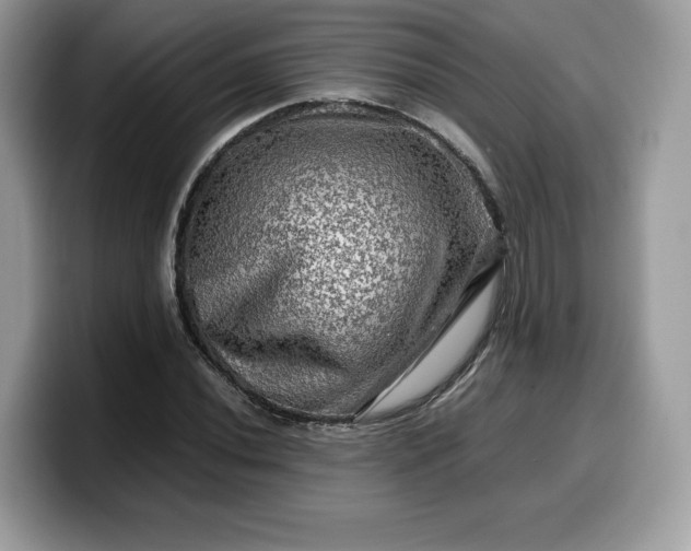 X0000099571020200805301536