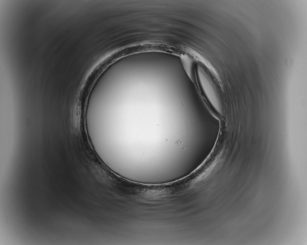 X0000099571021200805301536