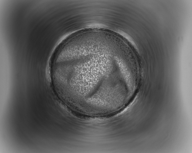 X0000099571022200805301536