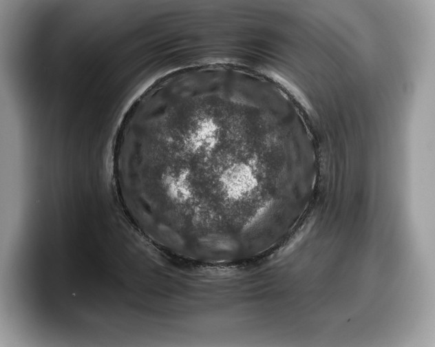 X0000099571023200805301536