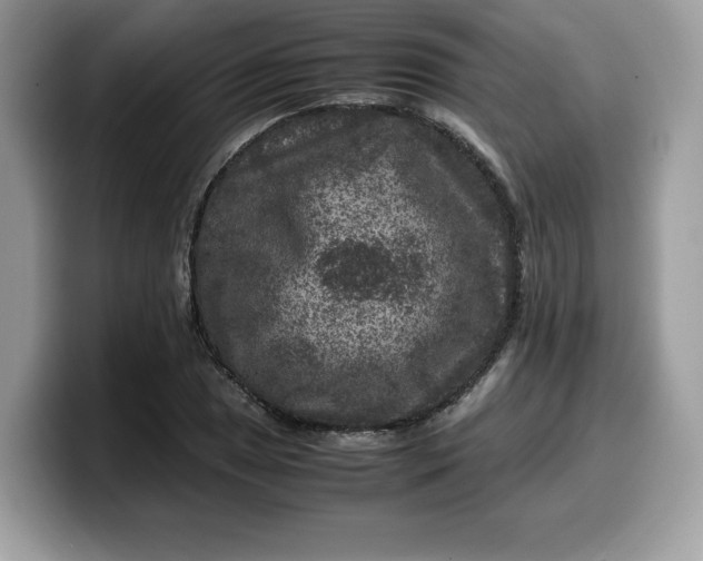 X0000099571025200805301536