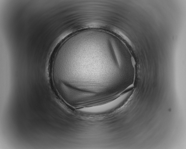 X0000099571026200805301536