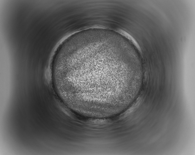 X0000099571027200805301536