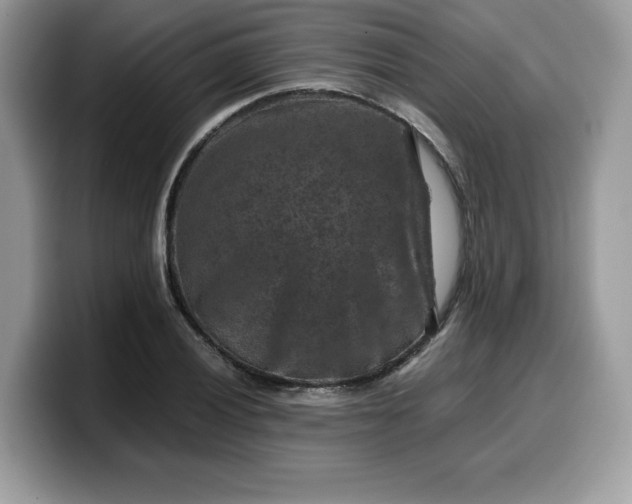 X0000099571028200805301536