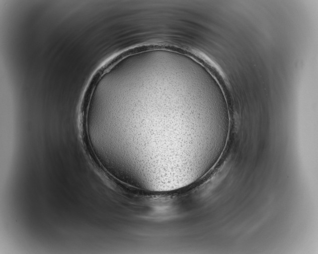X0000099571029200805301536