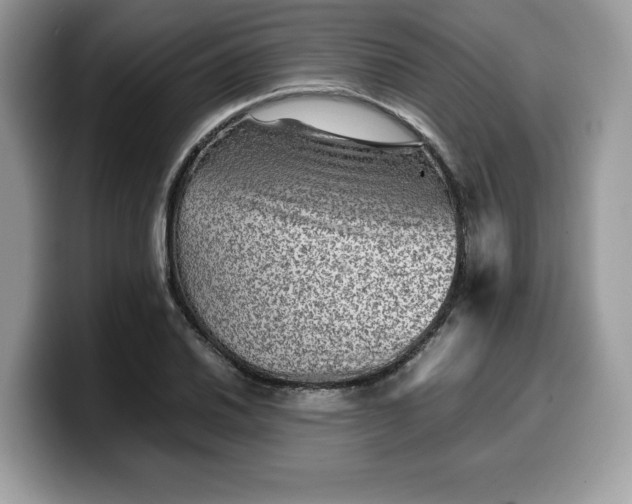 X0000099571030200805301536