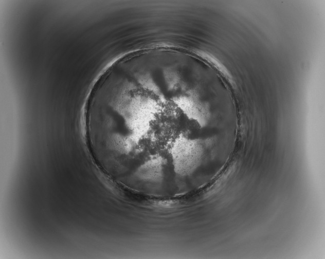 X0000099571031200805301536