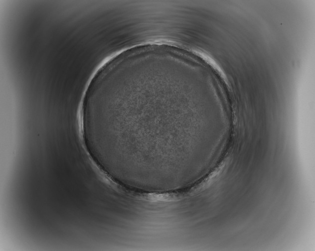 X0000099571032200805301536