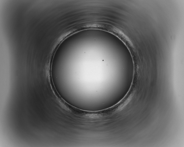 X0000099571033200805301536