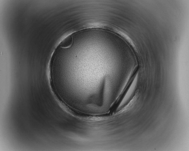 X0000099571034200805301536