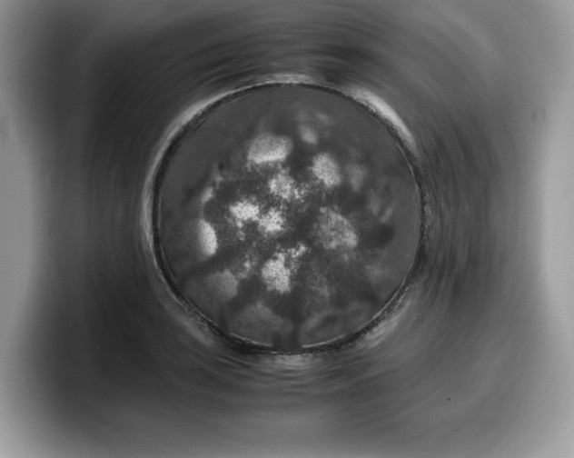 X0000099571035200805301536