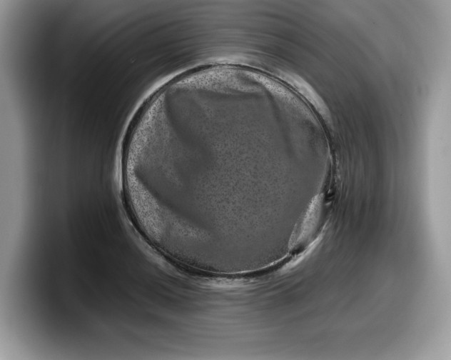 X0000099571036200805301536
