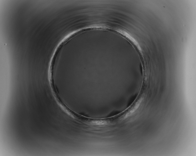 X0000099571037200805301537