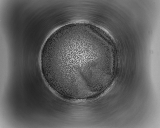 X0000099571038200805301537