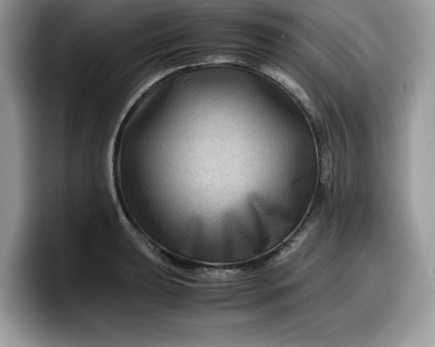 X0000099571039200805301537