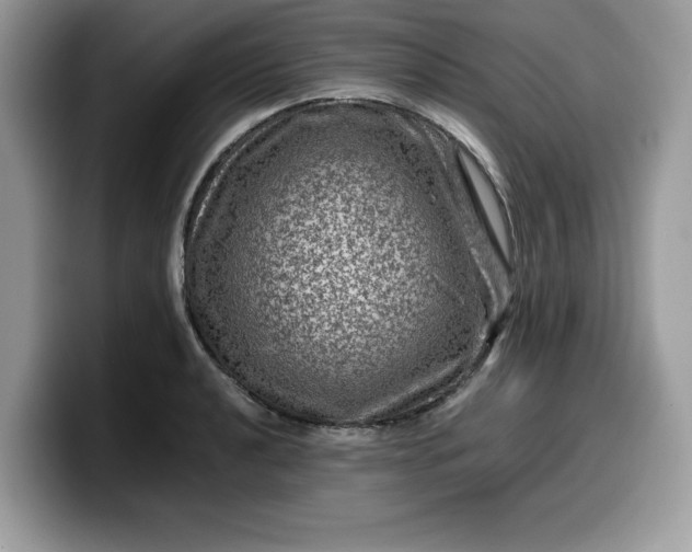 X0000099571040200805301537