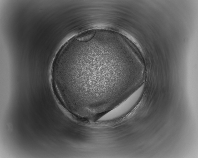 X0000099571042200805301537