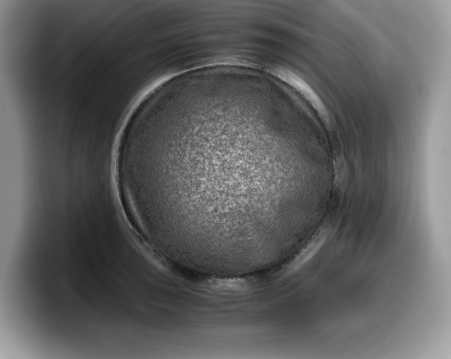 X0000099571043200805301537