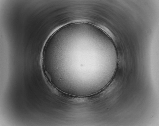 X0000099571044200805301537