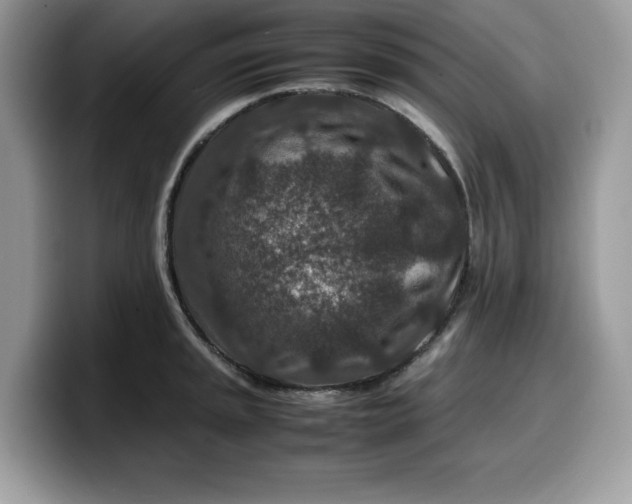 X0000099571045200805301537
