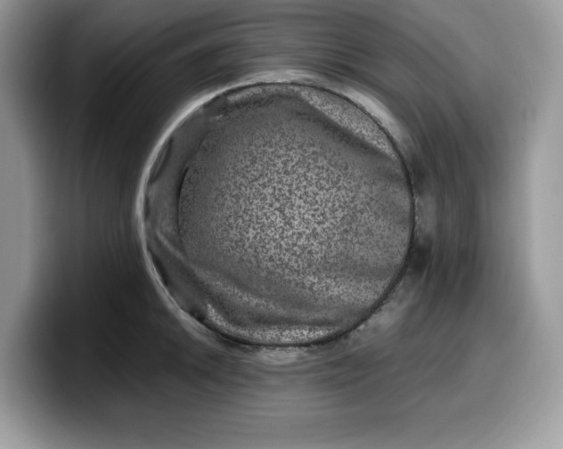 X0000099571046200805301537