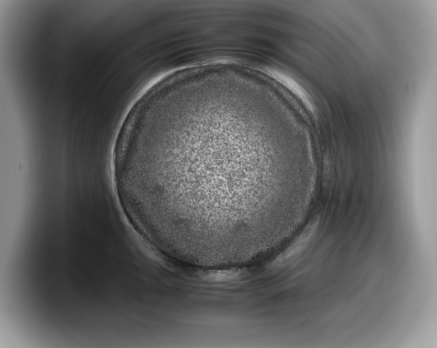 X0000099571047200805301537