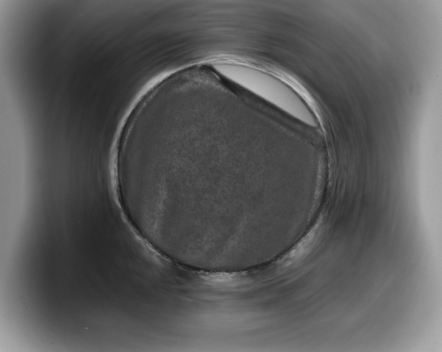 X0000099571048200805301537