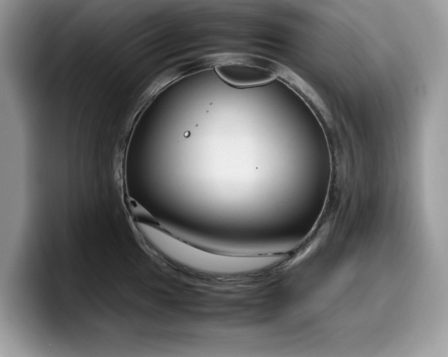 X0000099571049200805301537
