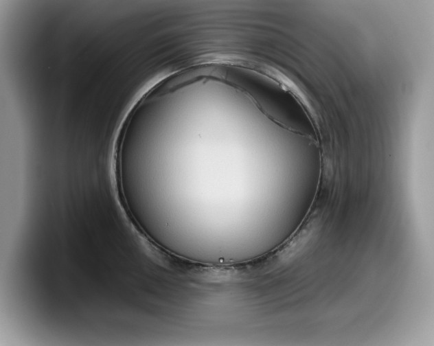 X0000099571050200805301537