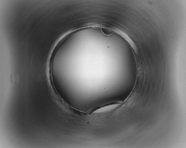 X0000099571051200805301537