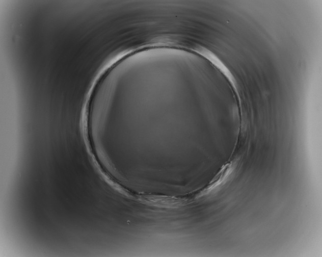 X0000099571053200805301537