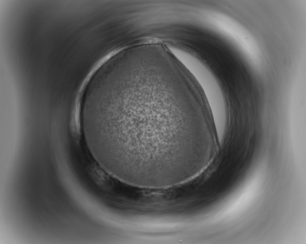 X0000099571054200805301537