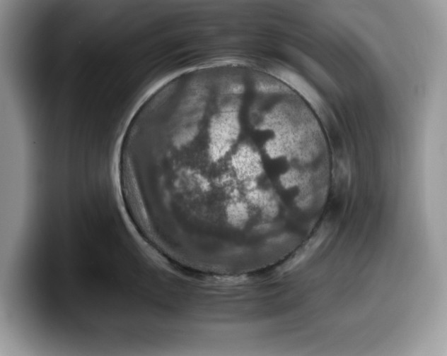 X0000099571055200805301537