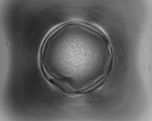 X0000099571056200805301537