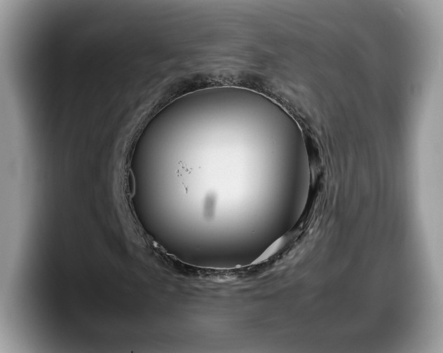 X0000099571057200805301536