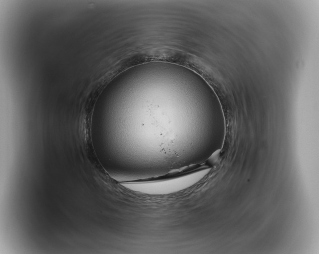 X0000099571058200805301536
