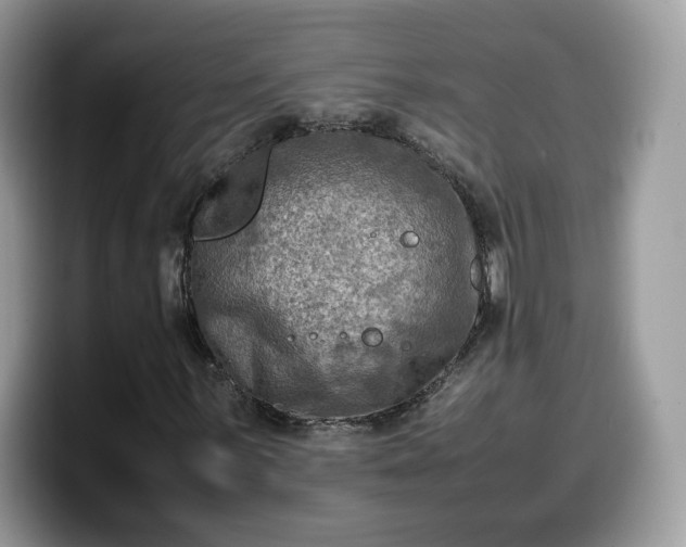 X0000099571059200805301536