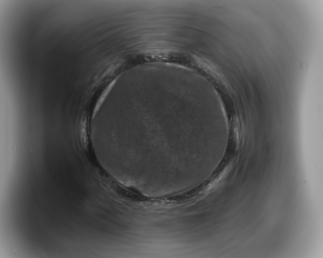 X0000099571060200805301536