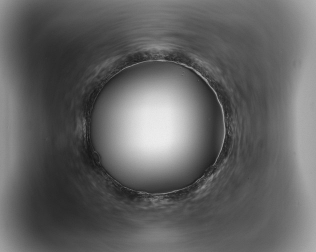 X0000099571061200805301536