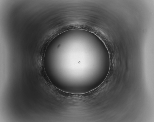 X0000099571062200805301536