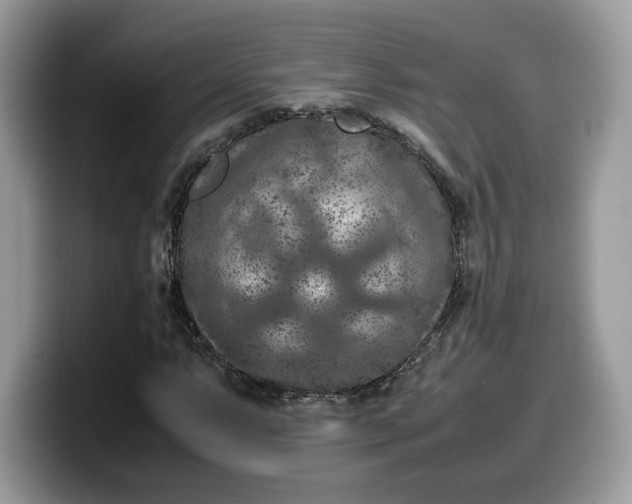 X0000099571063200805301536